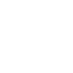 Privacy Focused Icon